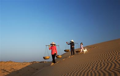 Đà Lạt - Thung Lũng Tình Yêu Hoàng Long Ohayo - Kdl Chuồn Chuồn - Linh Ẩn Tự Chinh Phục Đường Trượt Phao Khô Sắc Màu Dài Nhất Đà Lạt  Khám Phá Cầu Kính Ngàn Thông 7D 