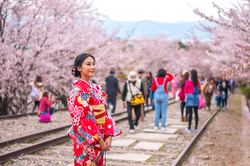 Nhật Bản: Tokyo - Núi Phú Sĩ - Oshino Hakkai - Hokkaido - Chitose - Noboribetsu – Saporro (5 đêm khách sạn) | Ngắm Hoa Anh Đào & Hoa Chi Anh | Lễ 30/4