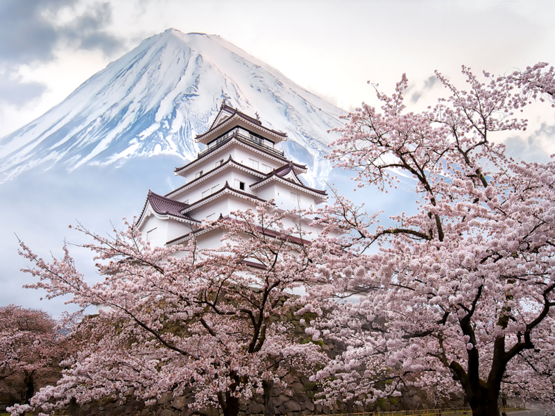 Nhật Bản: Fukushima - Tochigi - Công viên Ashikaga - Tokyo - Núi Phú Sĩ - Làng cổ Oshino Hakkai - Ibaraki - Fukushima (4 đêm khách sạn) | Chuyến bay thuê bao đến Fukushima  | Ngắm Hoa Anh Đào