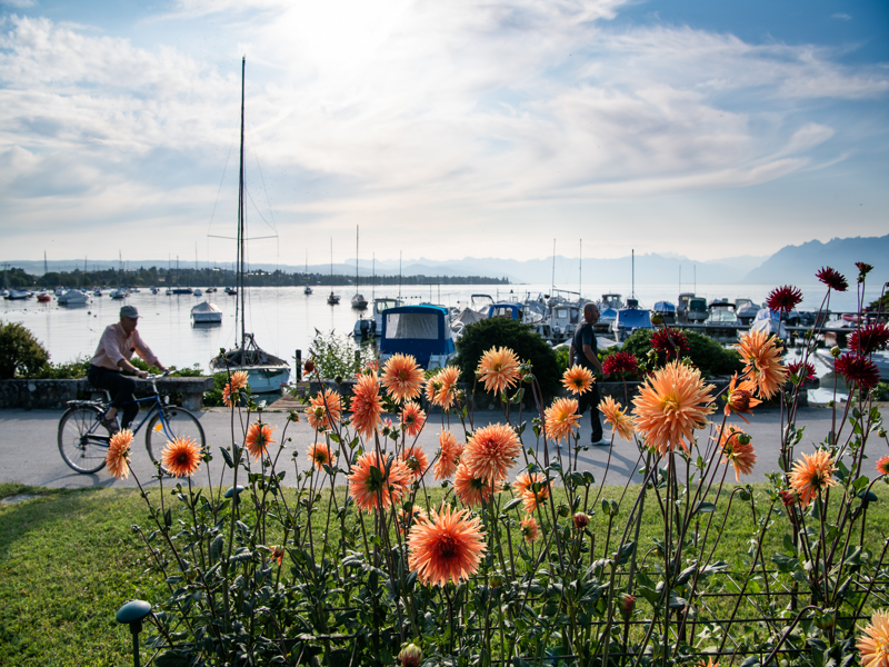 Tây Âu: Ý - Thụy Sĩ - Pháp - Bỉ - Đức (Lễ hội Hoa Thược Dược, trải nghiệm chuyến tàu leo núi đến với làng Zermatt)