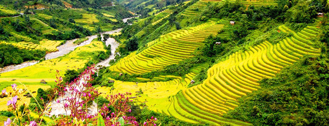 Ngủ đêm trên Du thuyền Hạ Long cao cấp - Chùa Bái Đính - KDL Tràng An - Tuyệt Tịnh Cốc