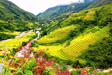 Tà Xùa - Mỏm Cá Heo - Sống lưng Khủng Long - Mộc Châu - Thung lũng Nà Ka - Mai Châu - Hà Nội
