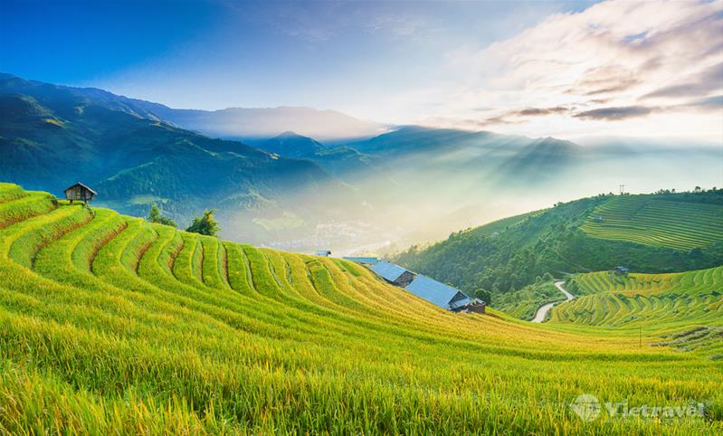 Hà Nội - Sapa - Fansipan - Ninh Bình - Hạ Long - Yên Tử - Đà Nẵng - Huế - La Vang   Động Thiên Đường& Phong Nha - Bà Nà - Hội An 