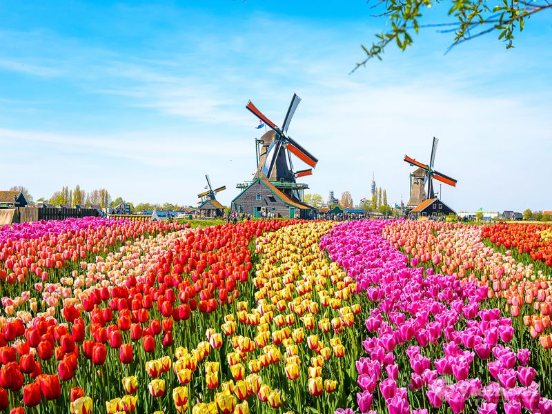 Tây Âu: Ý – Thụy Sĩ – Pháp – Bỉ – Hà Lan – Đức (Lễ hội hoa Tulip Keukenhof, Ngôi làng cổ tích Giethoorn)