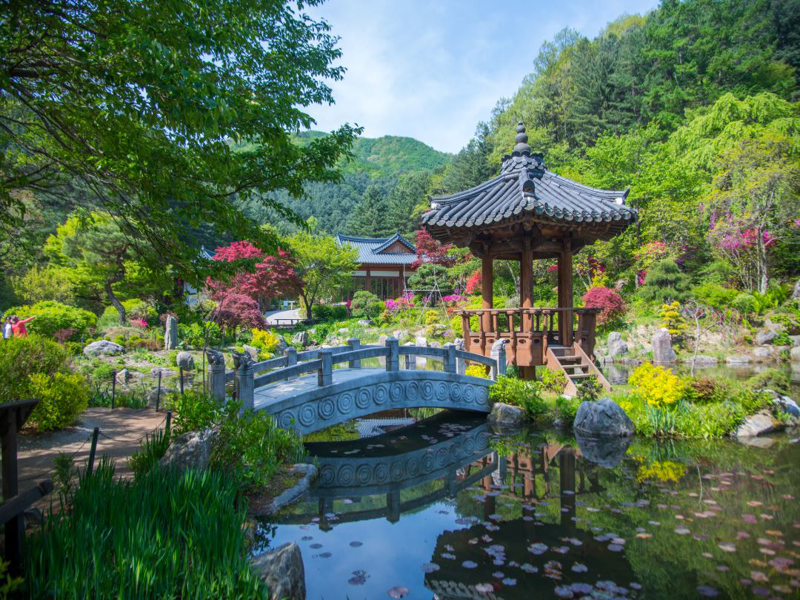 Hàn Quốc: Seoul - Lotte World - Lotte Aquarium - Đảo Nami - Busan - Ngôi làng bích họa Gamcheon – Tháp Busan | Trải nghiệm tàu cao tốc KTX (4 đêm khách sạn)