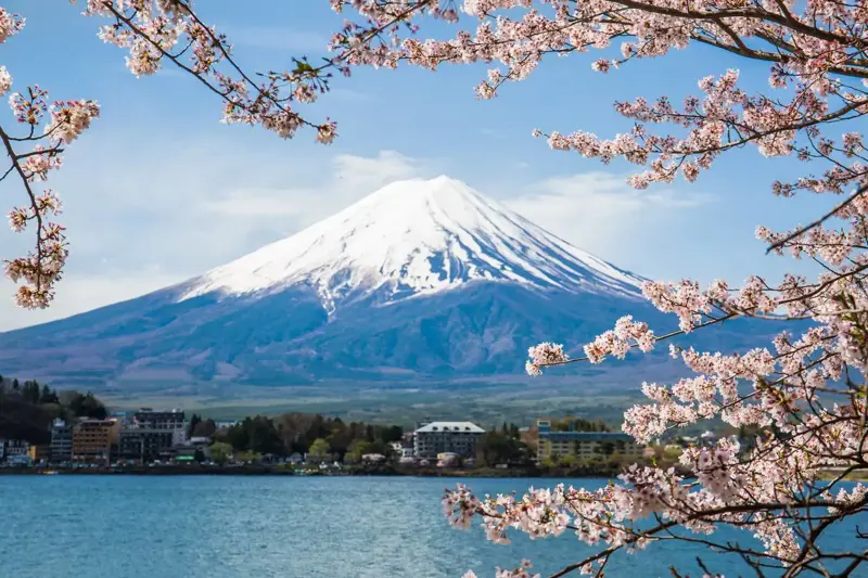 Nhật Bản: Tokyo - Núi Phú Sĩ - Oshino Hakkai - Nagoya - Kyoto - Osaka | Trải nghiệm shinkansen & mặc Yukata dạo phố cổ Gion