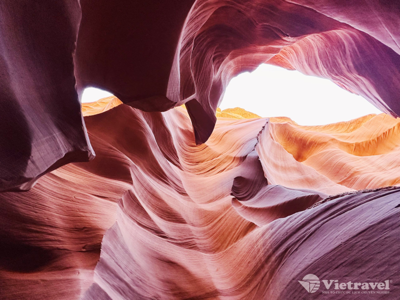 Bờ Tây Mỹ: Los Angeles - Salt Lake City - Yellowstone - Arches - Monument Valley - Horseshoe Bend - Antelope Canyon - Bryce Canyon - Zion - Las Vegas - Los Angeles (Khám phá thiên nhiên kỳ vĩ tại các Công viên quốc gia)