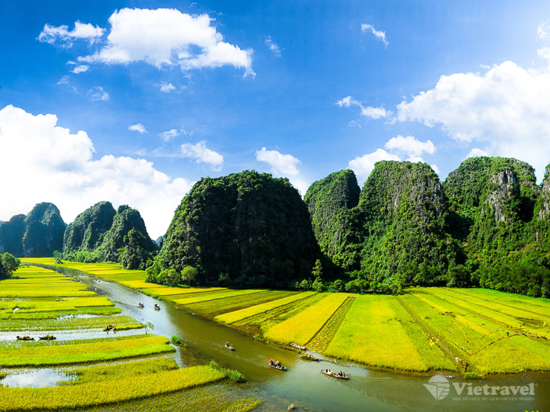 Tam cốc Mùa Lúa Chín| Hà Nội - Mai Châu - Hòa Bình - Pù Luông - Ninh Bình - Khu du lịch Tam Cốc - Bích Động