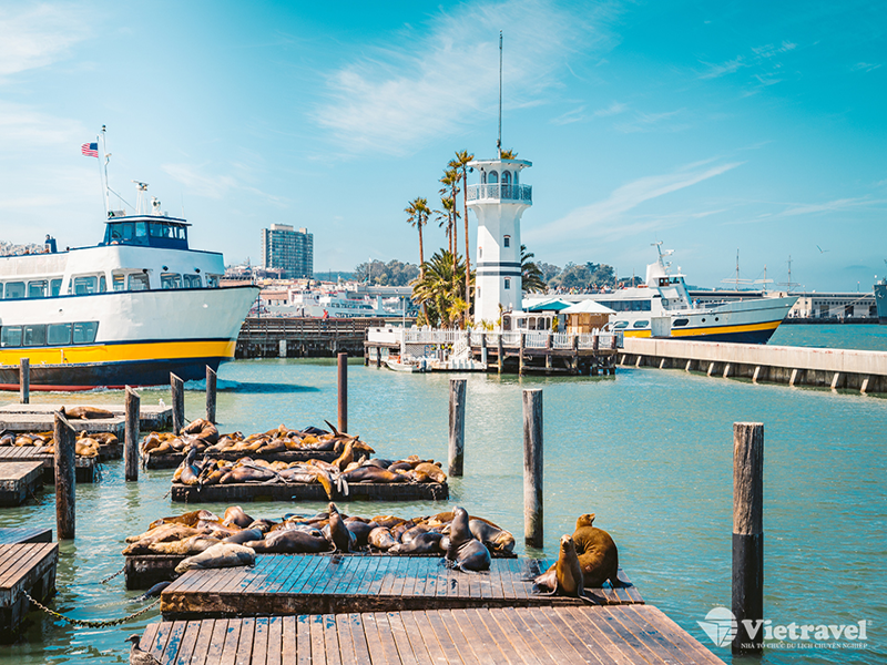 Bờ Tây Hoa Kỳ: San Francisco - Sacramento - Hồ Tahoe - San Francisco (Bay thẳng với Vietnam Airlines)