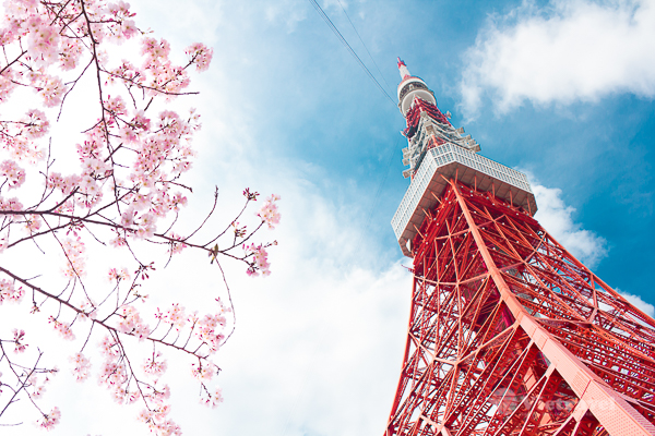 Nhật Bản: Tokyo - Núi Phú Sĩ - Oshino Hakkai - Ibaraki - Công viên Hitachi - Công viên Sumida - Vịnh Odaiba ( 3 đêm khách sạn) | Ngắm hoa Anh Đào